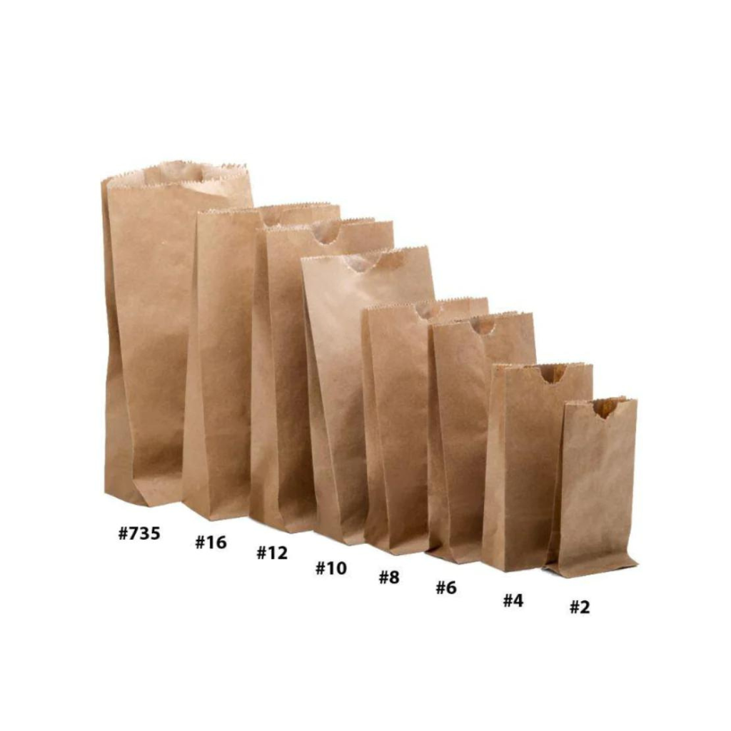 Paper Brown Kraft Bags